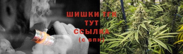 спайс Алексин
