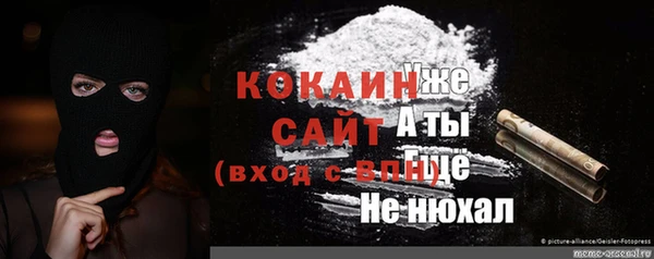 дмт Алзамай