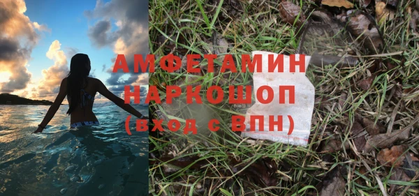дмт Алзамай