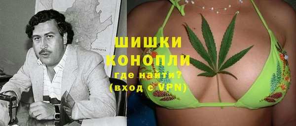 дмт Алзамай